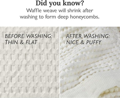 GILDEN TREE Waffle Bath Sheet Quick Dry Towel, Thin Luxury Bath Towels, Bath Sheets 40x80 Large Bath Towels, Modern Style (Cream)