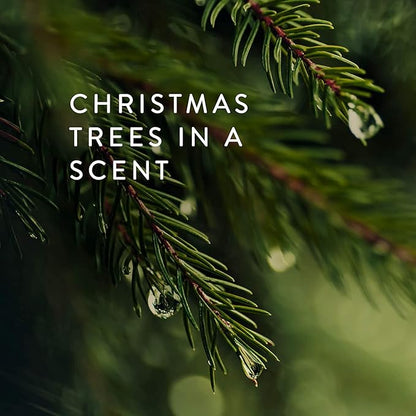 Thymes Bar Soap Trio Gift Set - Frasier Fir - Natural Hand Soaps - Contains Three - Cruelty-Free and Vegan - Pine Tree Scented Hand and Body Soap - 5.5 Oz Bars