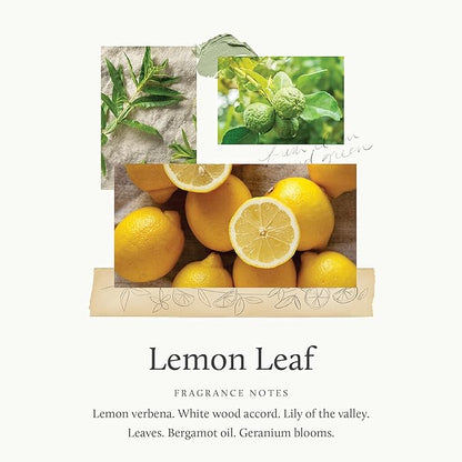 Thymes Hand Wash - 15 Fl Oz - Lemon Leaf