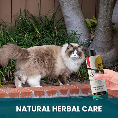 Holistic, Natural and Clean Pet Care Lemongrass Shampoo: Veterinarian Recommended - Hydrate Your Pet’s Coat With Our Hypoallergenic Shampoo For Dogs, Cats and Horses - Made in USA - 16 oz