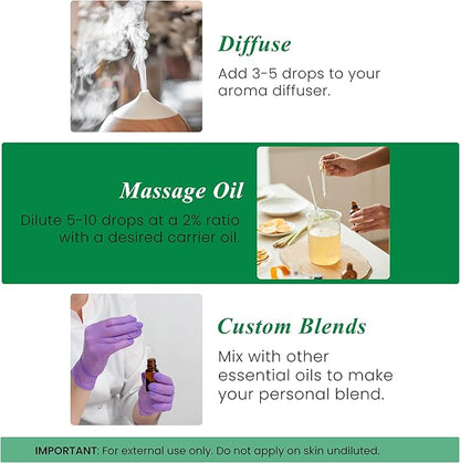 Handcraft Blends Thyme Essential Oil – 1 Fl Oz – 100% Pure and Natural – Premium Grade Essential Oil for Diffuser and Aromatherapy, Skin, Massage, Candle and Soap Making Fragrance
