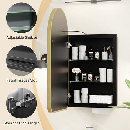 LED Arched Bathroom Medicine Cabinet with Mirror, No Assembly Needed, Recessed or Surface Mount Wall Storage Cabinet, Mirror Cabinet with Tissue Slot (Gold-LED, 31.5" L x 19.7")