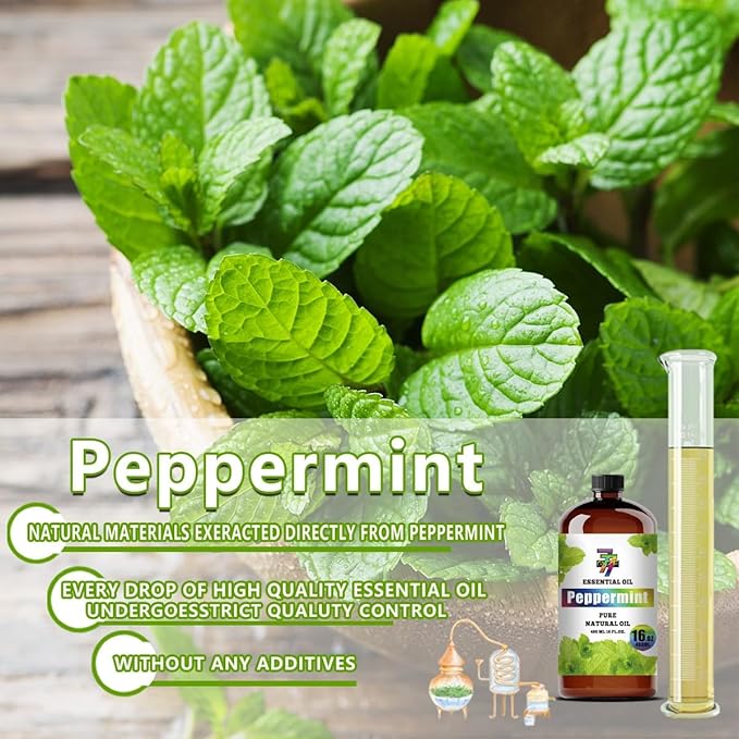 Peppermint Essential Oil (16 oz / 480 ml) – Peppermint Oils for diffusers, humidifiers, Home Baths, Cleaning Products, Yoga, DIY Soaps and DIY Scented Candles