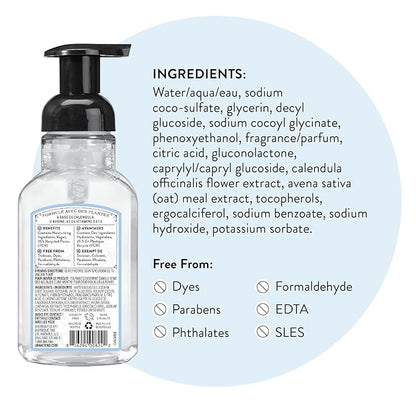 J.R. Watkins Foaming Hand Soap with Pump Dispenser, Moisturizing Foam Hand Wash, Alcohol-Free, Cruelty-Free, Ocean Breeze, 9 fl oz, 3 Pack