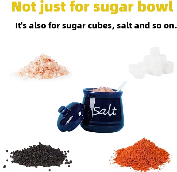 ONTUBE Ceramic Salt Bowl with Lid and Spoon 12oz White (Navy)