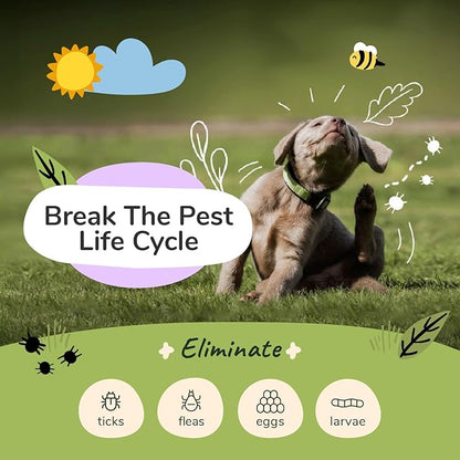 kin+kind Flea and Tick Shampoo for Dogs Vet Formulated - Plant Powered, Safe and Effective Dog Shampoo with Coconut and Olive Oil - Lavender Scent - Prevent Fleas and Ticks - Made in USA 12 fl oz