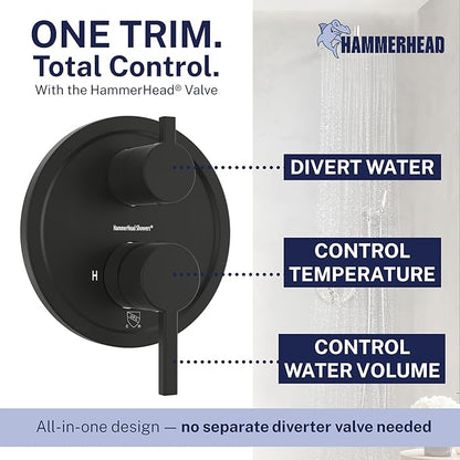 HammerHead Solid Metal Rain Shower System Set with Handheld and 10" Rainfall Head, Shower Valve and Trim Kit, 2-Handle Shower Faucet Set with 2 Way Diverter Body – Matte Black