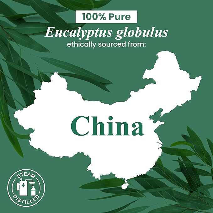 Handcraft Blends Eucalyptus Essential Oil in Glass Bottle – Huge 16 Fl Oz – 100% Pure and Natural – Premium Grade Oil for Diffuser and Aromatherapy, Skin, Massage, Candle and Soap Making Fragrance