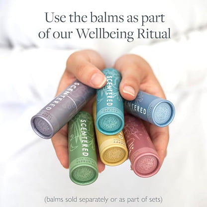 Scentered Aromatherapy Balm Gift Set - Calm & Confident - Pack of 3 Balms: Sleep Well, De-Stress, Focus - Rosemary, Cedarwood, Lavender Essential Oils - Aromatherapy Gifts for Women