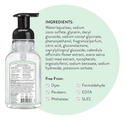 J.R. Watkins Foaming Hand Soap Pump with Dispenser, Moisturizing Hand Soap Foam, Alcohol-Free and Cruelty-Free, Use for Kitchen or Bathroom, Vanilla Mint, 9 fl oz, 3 Pack