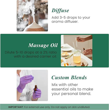 Handcraft Blends Eucalyptus Essential Oil – 1 Fl Oz – 100% Pure and Natural – Premium Grade Essential Oil for Diffuser and Aromatherapy, Skin, Massage, Candle and Soap Making Fragrance