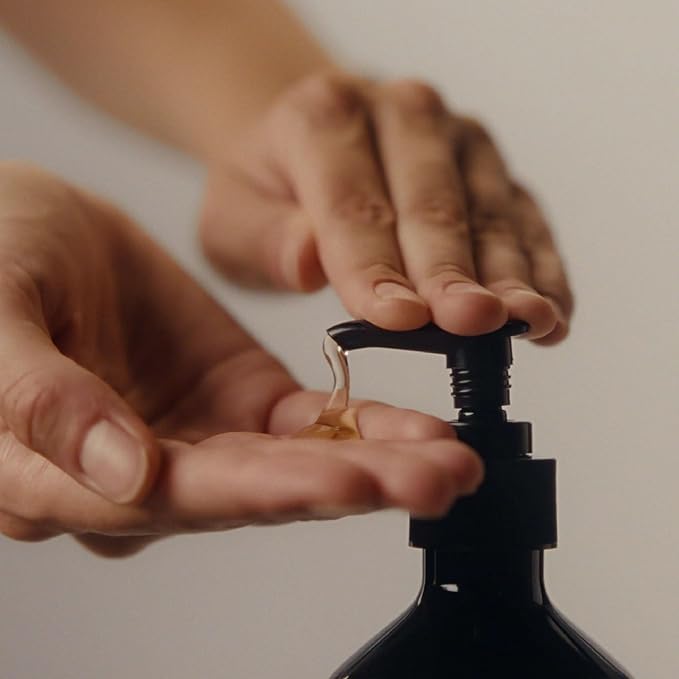 Aesop Reverence Aromatique Hand Wash | Woody, Earthy, Smoky | Gentle Exfoliating Cleanser For Renewed Skin | 500mL / 16.9 oz
