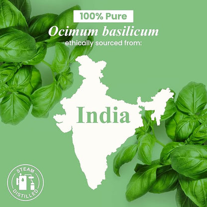 Handcraft Blends Basil Essential Oil – 1 Fl Oz – 100% Pure and Natural – Premium Grade Essential Oil for Diffuser and Aromatherapy, Skin, Massage, Candle and Soap Making Fragrance