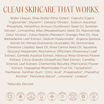 InstaNatural Vitamin C Moisturizer Face Cream, Reduces the Look of Fine Lines and Wrinkles, Moisturizing Lotion for Dry Skin with Aloe Vera, Niacinamide, Hyaluronic Acid - 3.4 Fl ounce (Pack of 3)