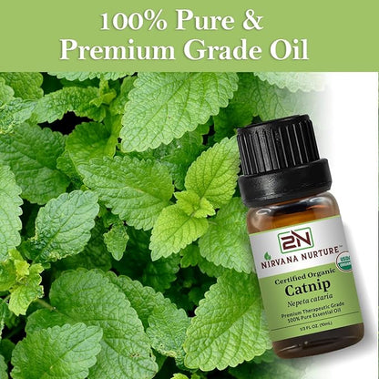 Catnip Essential Oil USDA Certified Organic, 100% Pure Natural Premium Grade, Undiluted