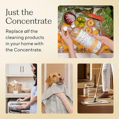 Branch Basics Concentrate Refill (33.8 oz) | All Purpose Multi-Surface Cleaning Concentrate - Replace Every Household Cleaner | Plant & Mineral-Based, Human-Safe, Fragrance Free