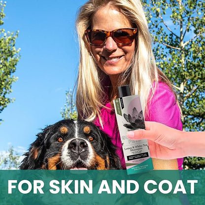 Holistic Natural Derived Lotus and White Tea Pet Shampoo: Veterinarian Recommended - Remove Dirt, Cleanse and Restore Your Dog, Cat or Horse Coat - Made in USA - 16 oz