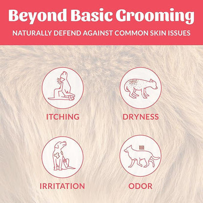 Skout's Honor Probiotic Dog Shampoo & Conditioner with Avocado Oil & Omega-3s, 97% Natural, Paraben & Sulfate-Free, Cruelty-Free, 16oz, Sunkissed Coconut