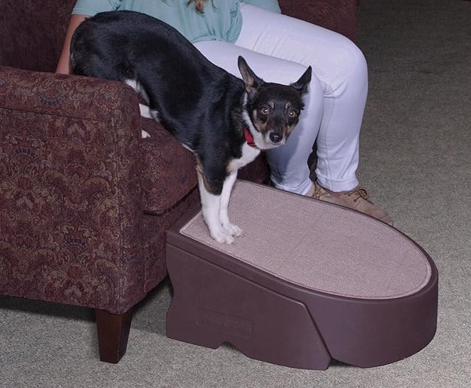 Pet Gear Stramp Stair and Ramp Combination for Dogs/Cats, Easy Step, Lightweight/Portable, Sturdy, Easy Assembly (No Tools Required) 1 Model, Available in 5 Colors