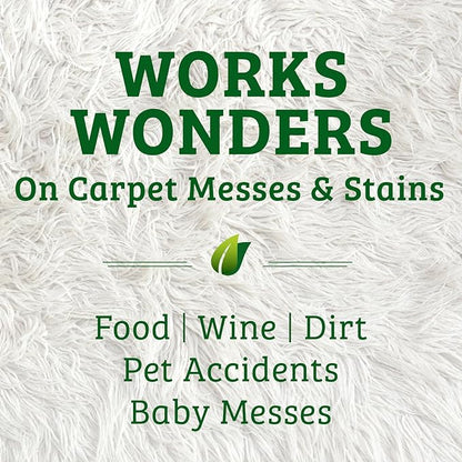 Biokleen Bac-Out Carpet Stain Remover Enzymatic, Destroys Stains & Odors Safely, for Pet Urine, Laundry, Diapers, Wine, Carpets, More, Eco-Friendly, Plant-Based