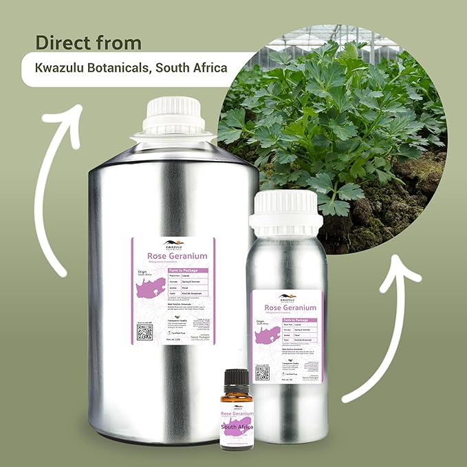Rose Geranium Essential Oil - Direct from Kwazulu Botanicals in South Africa- Organic Essential Oils for Body, Diffusers, or Aromatherapy | Pure Therapeutic Grade (5ml)