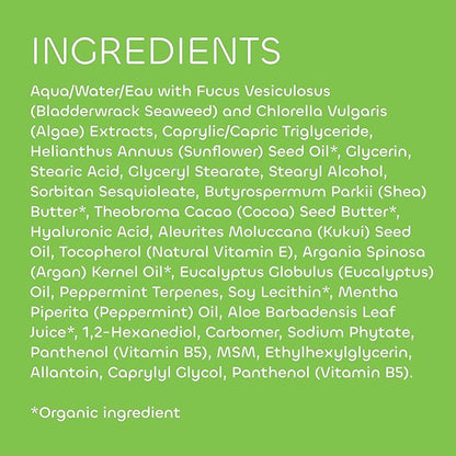 Seaweed Bath Co. Hydrate Body Cream, Eucalyptus Peppermint Scent, 6 Ounce, Nourishing Hand & Body Lotion Moisturizer for Dry Skin, with Sustainably Harvested Seaweed, Kukui Oil, Hyaluronic Acid