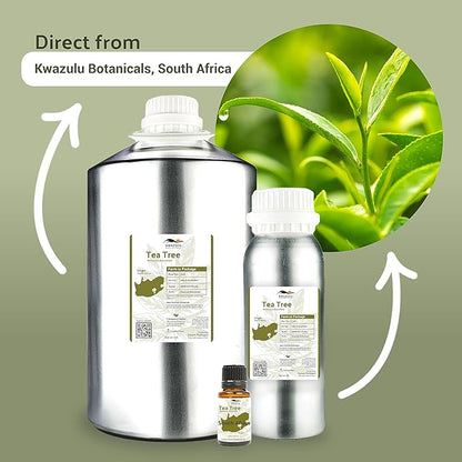 Tea Tree Essential Oil - Direct from Kwazulu Botanicals South Africa - Steam Distilled - Aceite Esencial de Árbol de Té for Aromatherapy, Diffuser, DIY Candle and Soap Making - 2lbs