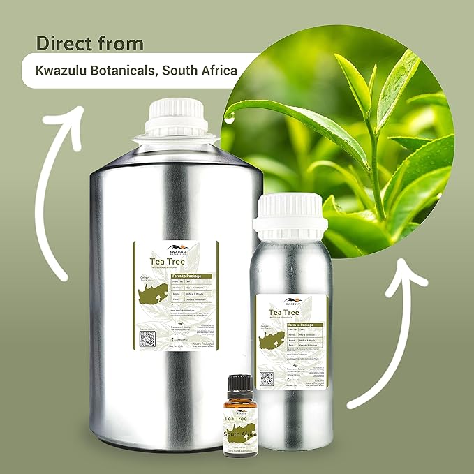 Tea Tree Essential Oil - Direct from Kwazulu Botanicals South Africa - Steam Distilled - Aceite Esencial de Árbol de Té for Aromatherapy, Diffuser, DIY Candle and Soap Making - 8oz