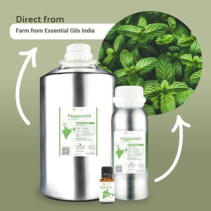 Peppermint Essential Oil - Direct from Norex Flavours India - Steam Distilled - Aceite Esencial de Menta for Aromatherapy, Massage, Diffuser, DIY Candle and Soap Making - 2lbs