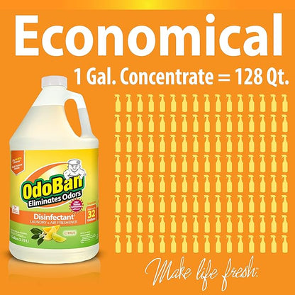 OdoBan Aroma Eliminator Set, Made in the USA, 10 Ounce 360-Degree Continuous Spray Natural Oil Real Citrus Air Freshener and 1 Gallon Multipurpose Disinfectant Cleaning Concentrate, Orange Scent