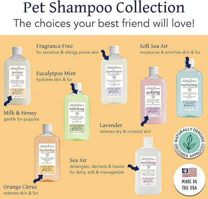 Bobbi Panter Rejuvenating Dog Shampoo, Restores & Revitalizes Skin & Fur, Orange Citrus Scent - 30:1 Concentrated Formula, Made in The USA, Trusted by Professional Groomers, 14 oz. (Case of 12)