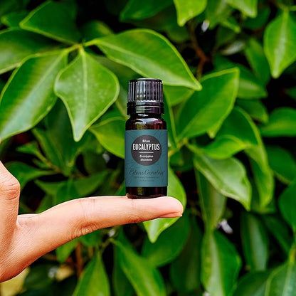 Edens Garden Eucalyptus- Blue Essential Oil- 100% Pure Premium Grade, Undiluted, Natural, Therapeutic, Aromatherapy, The Best for Diffuser, Skin, Candle, Humidifiers 10 ml (.33 fl oz)