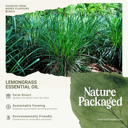 Lemongrass Essential Oil - Natural Aceite de Hierba Limón from Norex Flavours India - Lemongrass Essential Oils for Hair, Aromatherapy and Massage (22lbs)