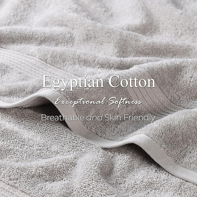Superior Egyptian Cotton Bath Towel Set, Home Bathroom Towels, Master, Guest Bath, Decor Essentials, Quick Dry, Absorbent, Large Body Towels, Spa, Hotel, Resort, Adult, Kids, Set of 2, Silver