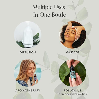 Edens Garden Good Night Essential Oil Blend- 100% Pure Premium Grade, Undiluted, Natural, Therapeutic, Aromatherapy, The Best for Candle, Humidifiers, Kid Safe 118 ml (4 fl oz)