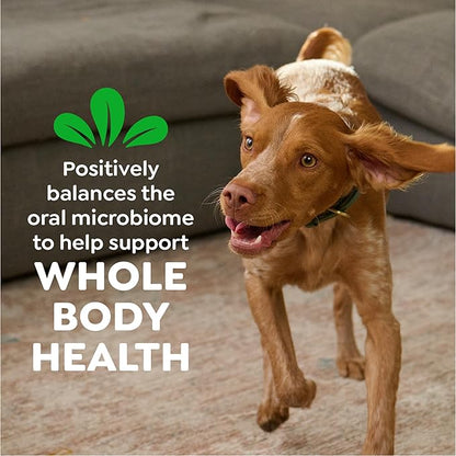 Greenies Veterinarian-Recommended Natural Dental Dog Treats Teenie Size, Original Flavor, 36 oz. Pack, 130 Count