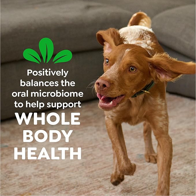 Greenies Veterinarian-Recommended Natural Dental Dog Treats Teenie Size, Original Flavor, 6 oz. Pack, 22 Count