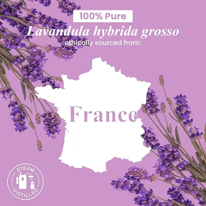 Handcraft Blends Lavender Essential Oil – 1 Fl Oz – 100% Pure and Natural – Premium Grade Essential Oil for Diffuser and Aromatherapy, Skin, Massage, Candle and Soap Making Fragrance