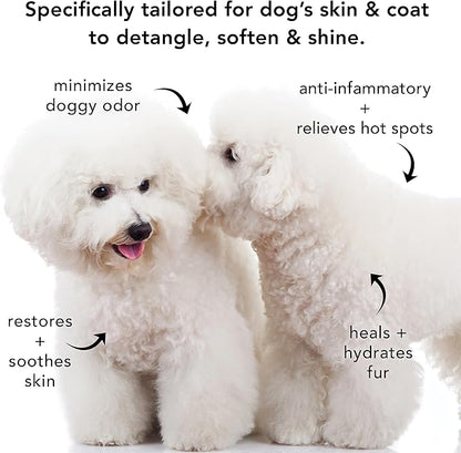 Pride and Groom The Non Shedder | Dog Grooming Shampoo for Doodles and Dogs That Do Not Shed | Tearless All Natural Body Wash with Coat-Specific Ingredients That Enhance Shine – 16oz (Pack of 2)