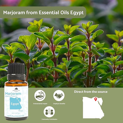 Marjoram Essential Oil - Aceite de Mejorana Direct from Egypt for Massage & Aromatherapy | Premium Therapeutic Grade (2lbs)