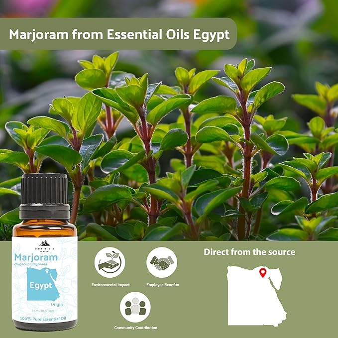 Marjoram Essential Oil - Aceite de Mejorana Direct from Egypt for Massage & Aromatherapy | Premium Therapeutic Grade (22lbs)