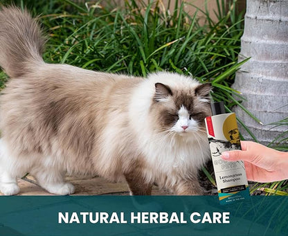Holistic, Natural and Clean Pet Care Lemongrass Shampoo: Veterinarian Recommended - Hydrate Your Pet’s Coat With Our Hypoallergenic Shampoo For Dogs, Cats and Horses - Made in USA - 16 oz