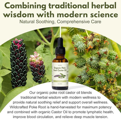 Organic Poke Root Castor Oil – 1 Fl Oz (30ml) Natural Lymphatic Support Massage Oil, Soothing Relief for Cysts, Boils, Breast, Fibroids, Swollen Lymph Nodes & Joint – Deep Tissue Drops