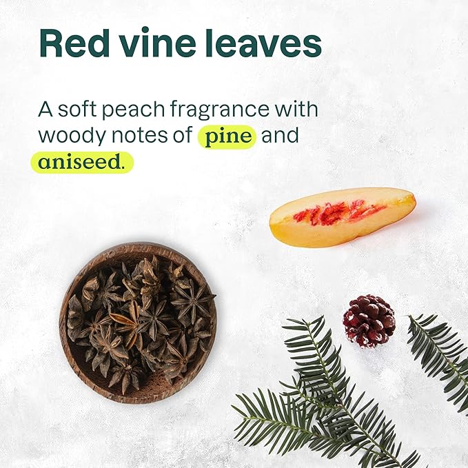 ATTITUDE Body Wash, EWG Verified Shower Gel, Dermatologically Tested, Plant and Mineral-Based, Vegan Personal Care Products, Red Vine Leaves, 16 Fl Oz (Pack of 2)