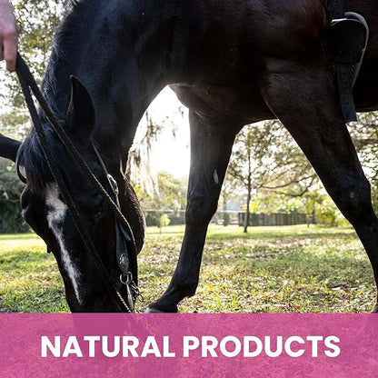 Holistic Natural Derived Calming Pet Shampoo for Anxiety: Veterinarian Recommended: Providing Stress Relief for Dogs, Cats and Horses - Made in USA - 16 oz