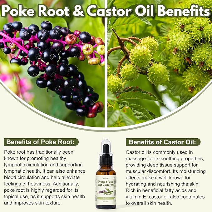 Organic Poke Root Castor Oil – 1 Fl Oz (30ml) Natural Lymphatic Support Massage Oil, Soothing Relief for Cysts, Boils, Breast, Fibroids, Swollen Lymph Nodes & Joint – Deep Tissue Drops