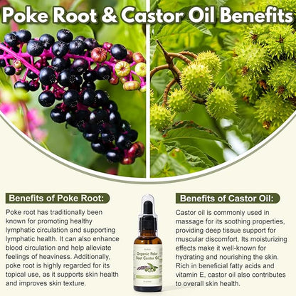 Organic Poke Root Castor Oil – 1 Fl Oz (30ml) Natural Lymphatic Support Massage Oil, Soothing Relief for Cysts, Boils, Breast, Fibroids, Swollen Lymph Nodes & Joint – Deep Tissue Drops