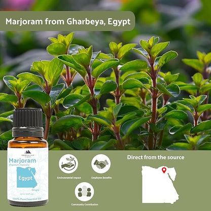 Marjoram Essential Oil - Aceite de Mejorana Direct from Egypt for Massage & Aromatherapy | Premium Therapeutic Grade (8oz)