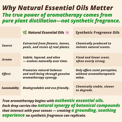 Sandalwood & Bergamot Aromatherapy Body & Massage Oil – Lightweight, Fast-Absorbing Hydration with a Woody-Citrus Essential Oil Aroma for a Refreshing Self-Care Experience, 1 fl oz / 30 ml