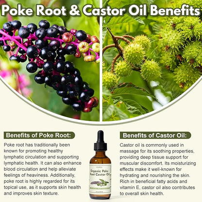 Organic Poke Root Castor Oil – 2 Fl Oz Natural Lymphatic Support Massage Oil, Soothing Relief for Cysts, Boils, Breast, Fibroids, Swollen Lymph Nodes & Joint – Deep Tissue Drops
